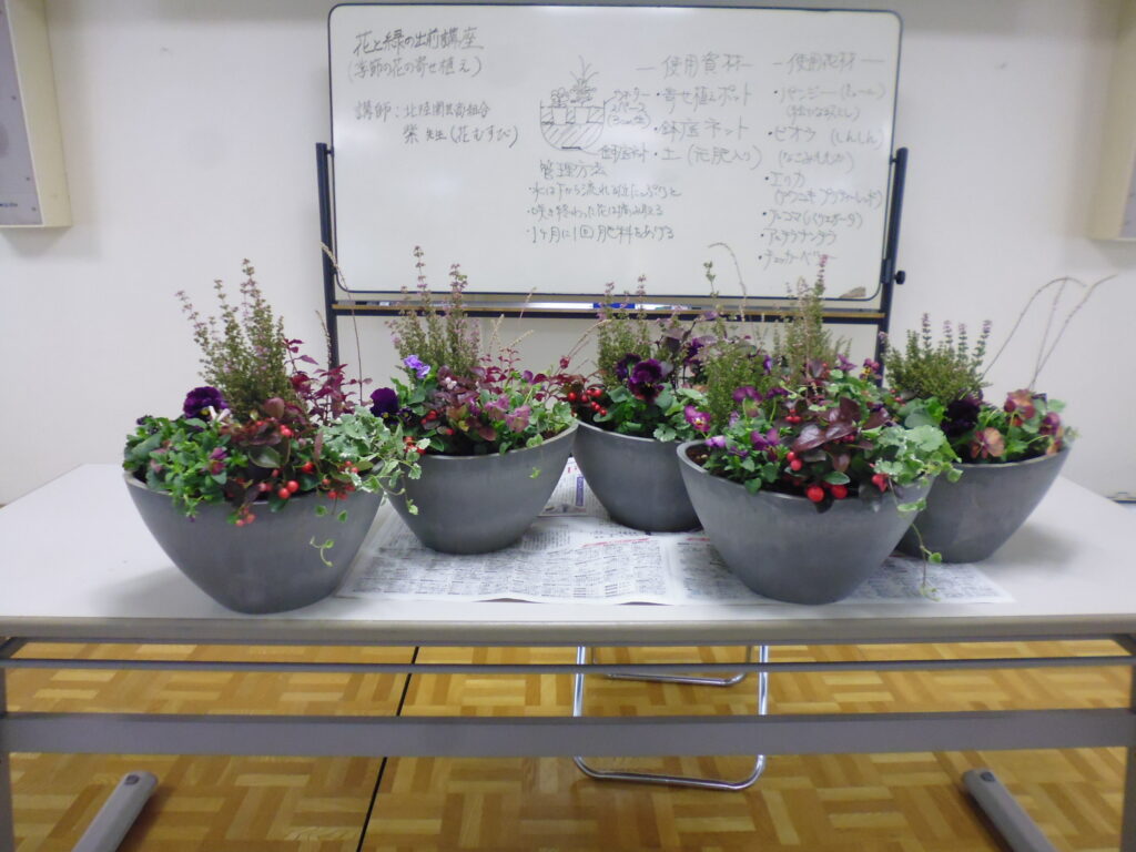 ひまわり ほほえみ学級 寄せ植え 新神田公民館 金沢市